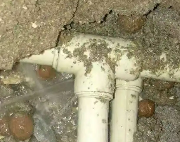 墨脱测漏水多少钱