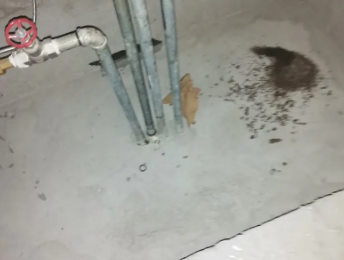 墨脱卫生间测漏水价格明细