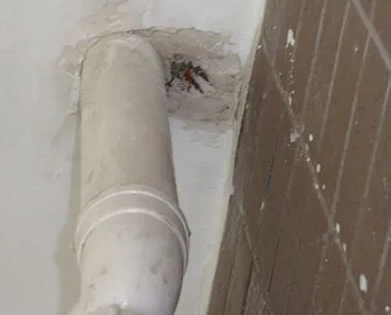 墨脱漏水检测哪家好